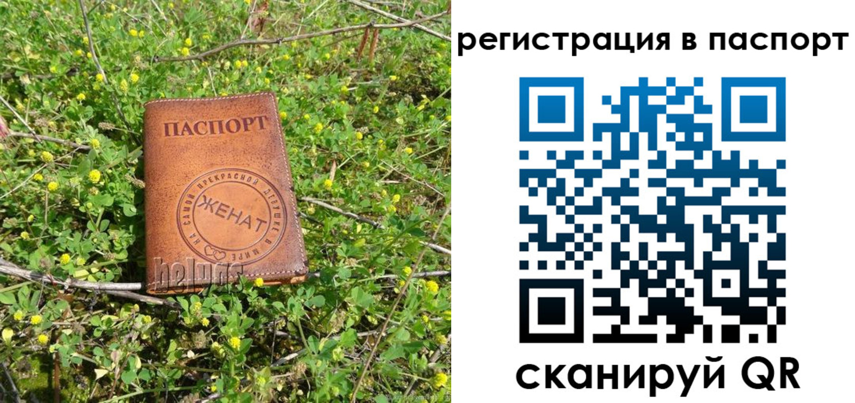 прописка законно в Красноярском крае